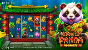 bigwin live ক্রিকেট ম্যাচের লাইভ স্কোর ও তথ্য